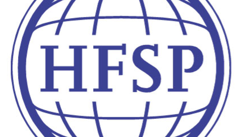 HFSP_small