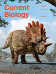 Current_Biology_Cover_2015b