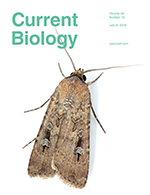 current_biology_cover_2018b.png