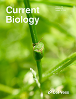 Current_Biology_Cover_Aug_2020