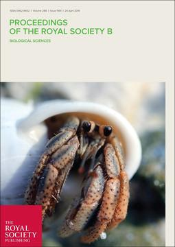 jo_wolfe_proc_b_cover
