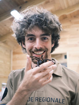 leolaborieux