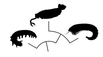 JOH_lab_logo