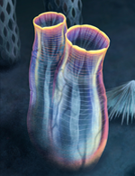 nature_communications_cover_july_2023