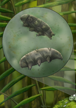procb_reconstruction_2021