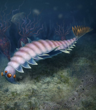Utaurora_reconstruction_2022