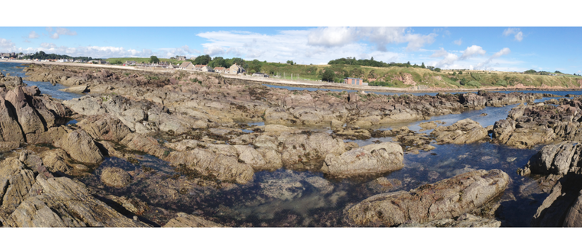 2_Ortega-Hernandez_CowieHarbour